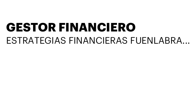 GESTOR FINANCIERO