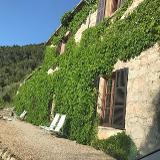 Ignacio O. avatar icon