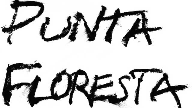 Empleado/a del Hogar