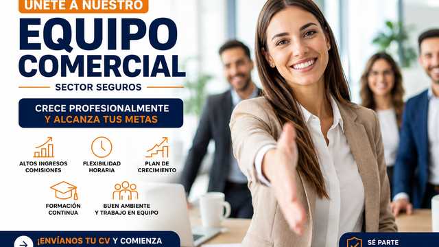 Asesor/a de Seguros