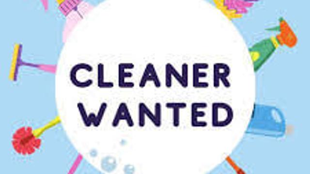 Domestic Cleaner