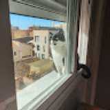 José Manuel R. avatar icon