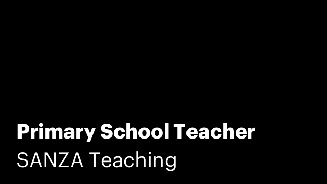 Primary School Teacher