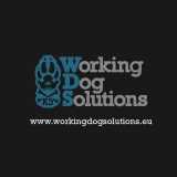 Workingdog S. avatar icon