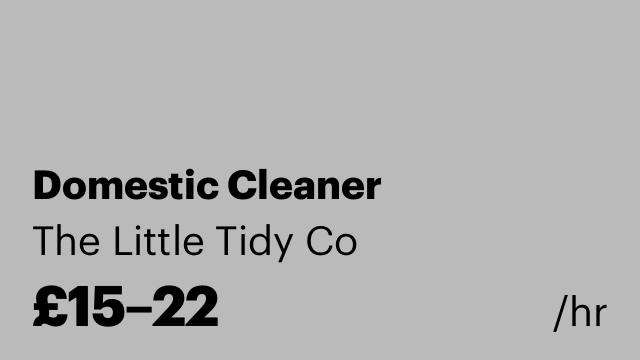 Domestic Cleaner