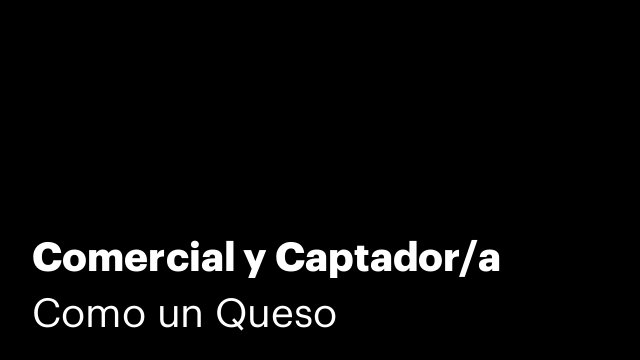 Comercial y Captador/a