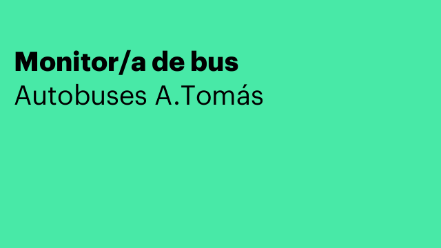 Monitor/a de bus