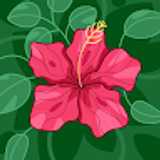 Grecia samantha V. avatar icon
