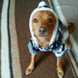 maribel M. avatar icon