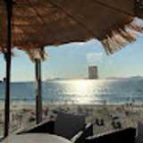 Beilei H. avatar icon