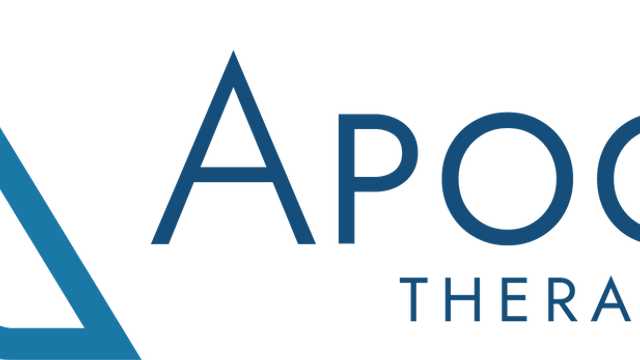 Customer Service Assistant