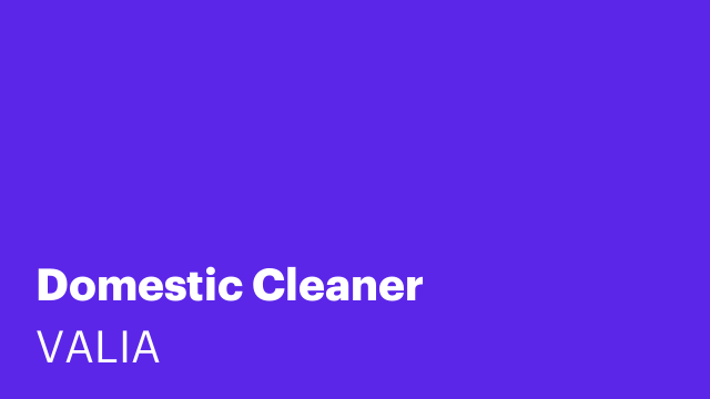 Domestic Cleaner