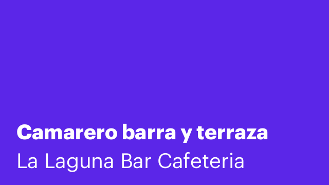 Camarero barra y terraza