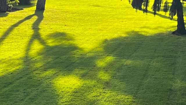 Jardinero mantenimiento