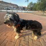 Marlin Daniela S. avatar icon