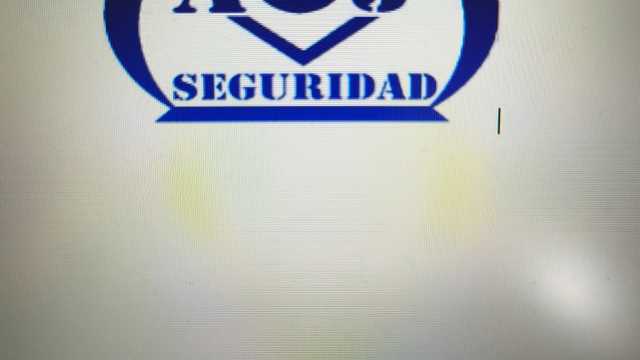 Vigilante de Seguridad