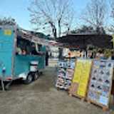 Almudena F. avatar icon