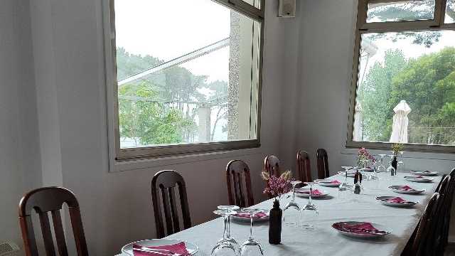 Ayudante/a de Cocina