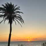 Cinta G. avatar icon