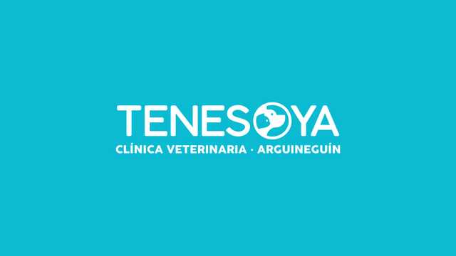 Veterinario/a