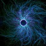 Daniel J. avatar icon