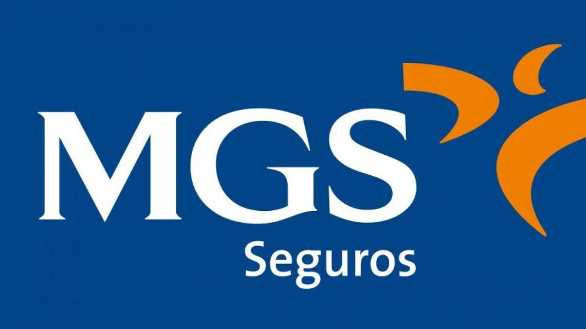MGS Seguros y Reaseguros SA cover image