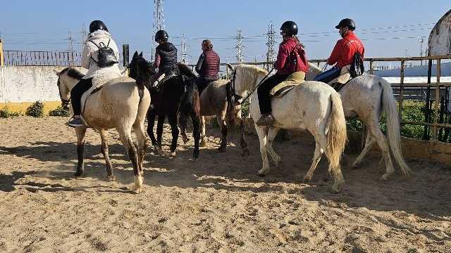 Jinete | Monitor Equitación