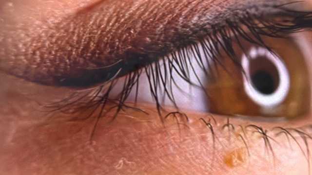 MODELO MICROPIGMENTACION EYELINER SOFT