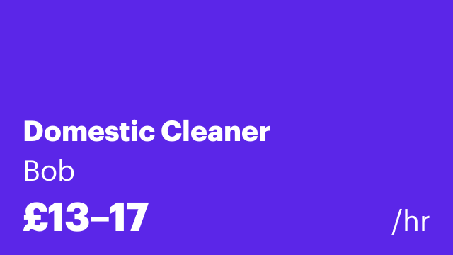 Domestic Cleaner