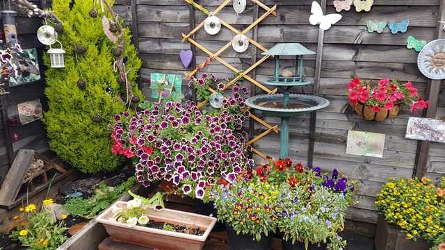 Nursery Practitioner
