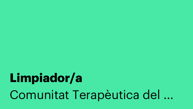 Limpiador/a