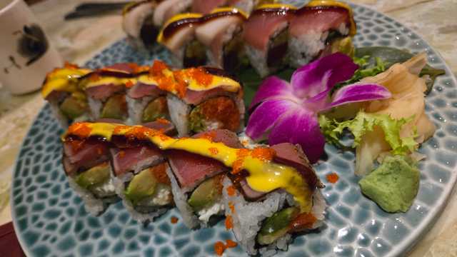 Experience bartender/server