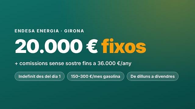 Asessor/a Comercial Endesa pimes · 20-36k €