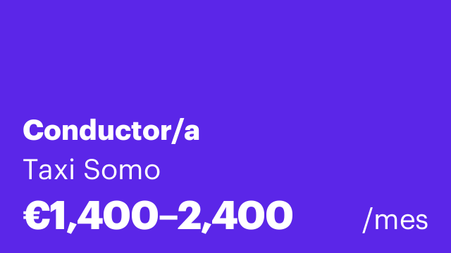 Conductor/a
