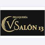 VSalon13 logo