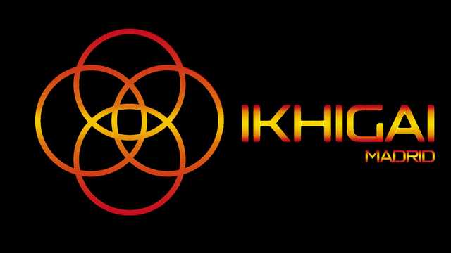 CONSULTOR COMERCIAL MADRID
