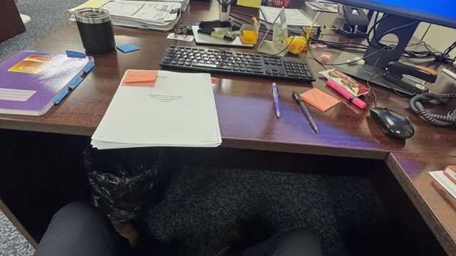 Remote worker