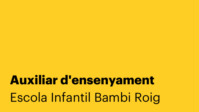 Auxiliar d'ensenyament