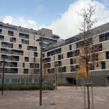 Ismael A. avatar icon