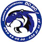 Do-ho T. avatar icon