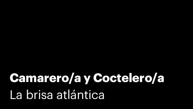 Camarero/a y Coctelero/a