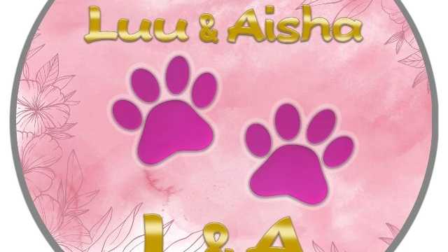 Peluquero/a Canina