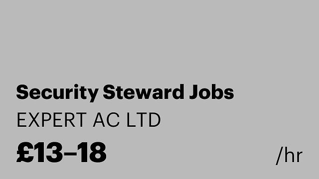 Security Steward Jobs