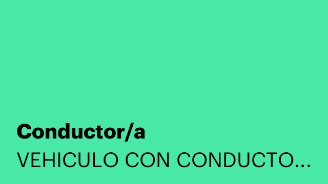Conductor/a