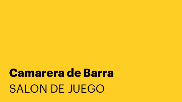 Camarera de Barra
