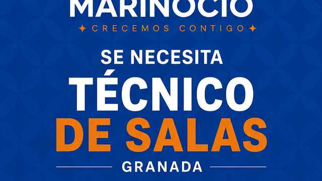 Técnico/a