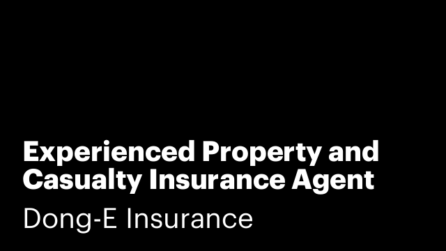 Experienced Property and Casualty Insurance Agent