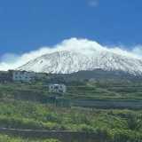 Patrici (Natalia G. avatar icon