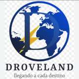 Droveland international  logo