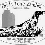 Jose Luis D. avatar icon